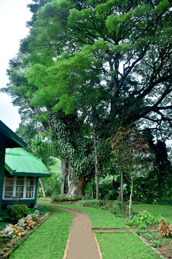Royal Majesty Bungalow Hatton Ngoại thất bức ảnh